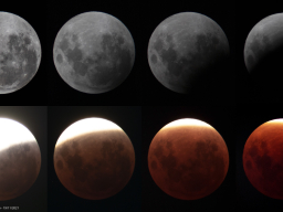 Eclipse Luna 19-11-2021